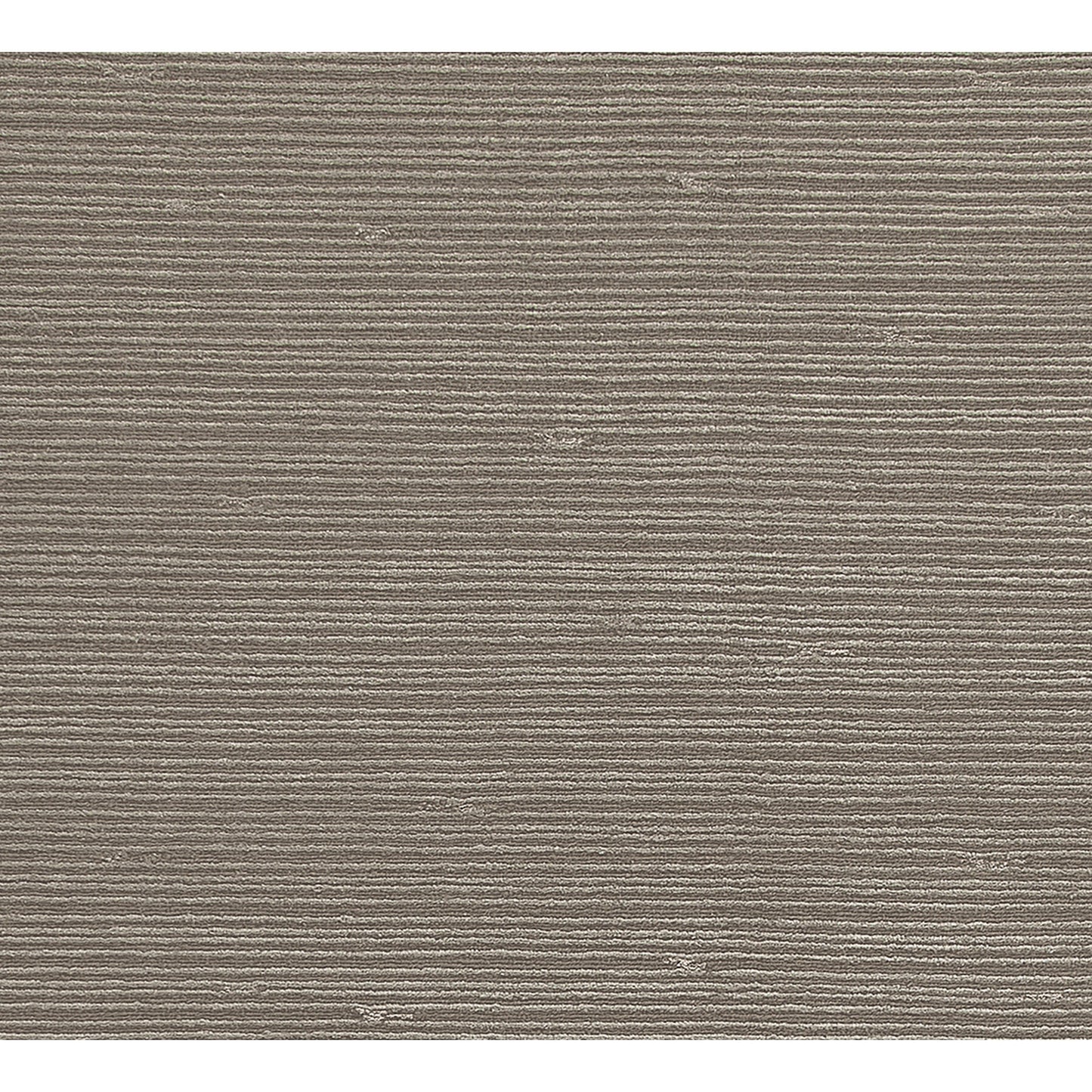 HIMALAYAN ART 3000 NOUBA BARK FOSSIL