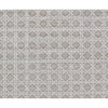 HIMALAYAN ART 3000 OP175 GREY / WHITE