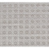 HIMALAYAN ART 3000 OP175 GREY / WHITE
