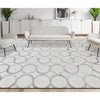 HIMALAYAN ART 3000 OP178 WHITE / SILVER