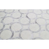 HIMALAYAN ART 3000 OP178 WHITE / SILVER