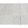 HIMALAYAN ART 3000 T2412 WHITE / GREY