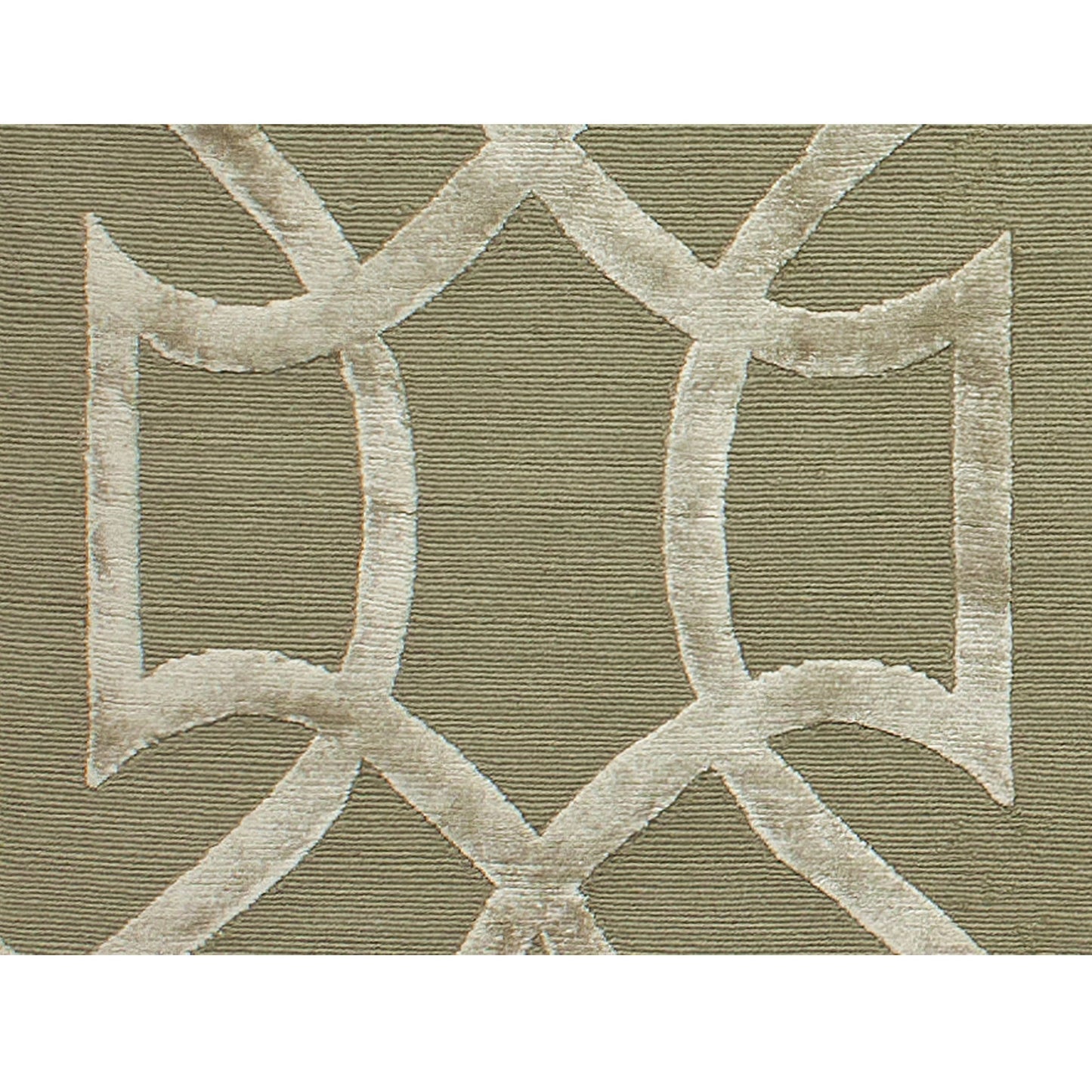 HIMALAYAN ART 3000 WMATO TOMMASO ENDIVE