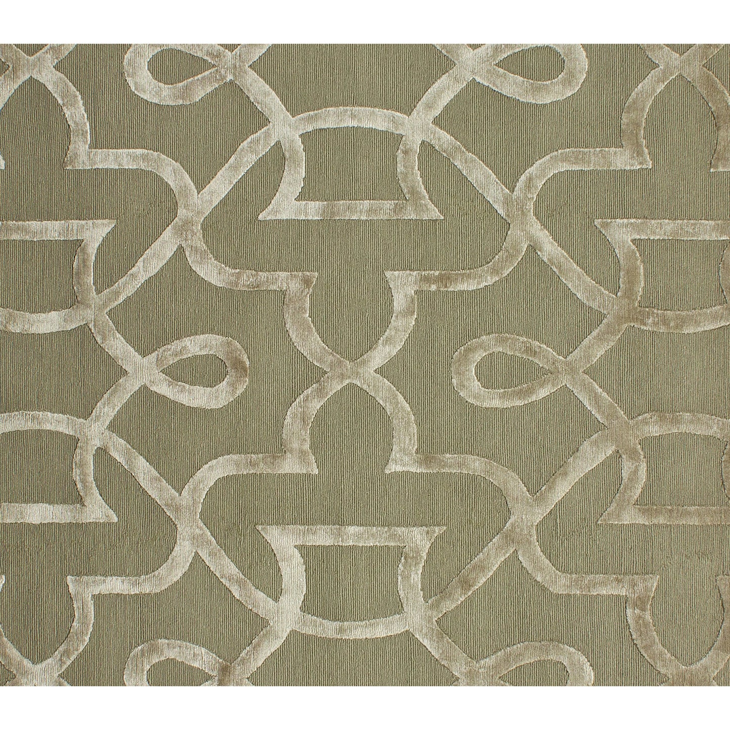 HIMALAYAN ART 3000 WMATO TOMMASO ENDIVE