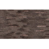 HIMALAYAN ART 3000 WMCAT CATINI BROWN