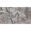 HIMALAYAN ART 5000 B1217 BEIGE / SILVER