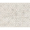HIMALAYAN ART 5000 CA036 GREY / SILVER