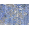 HIMALAYAN ART 5000 F1202 SILVER / BLUE