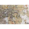 HIMALAYAN ART 5000 F1364 MULTI / RUST