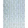 HIMALAYAN ART 5500 HD938 LIGHT BLUE