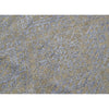 LACIEL MC007 BEIGE / LIGHT BLUE