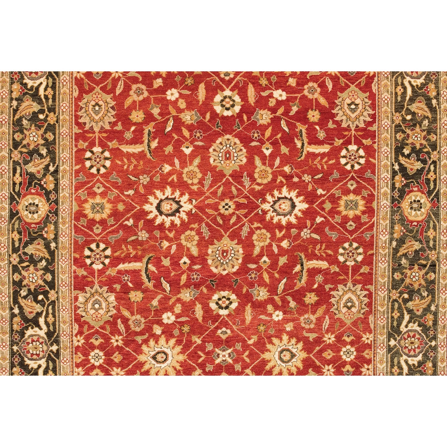 MANCHURIA BIDJJ RED / DARK GREEN