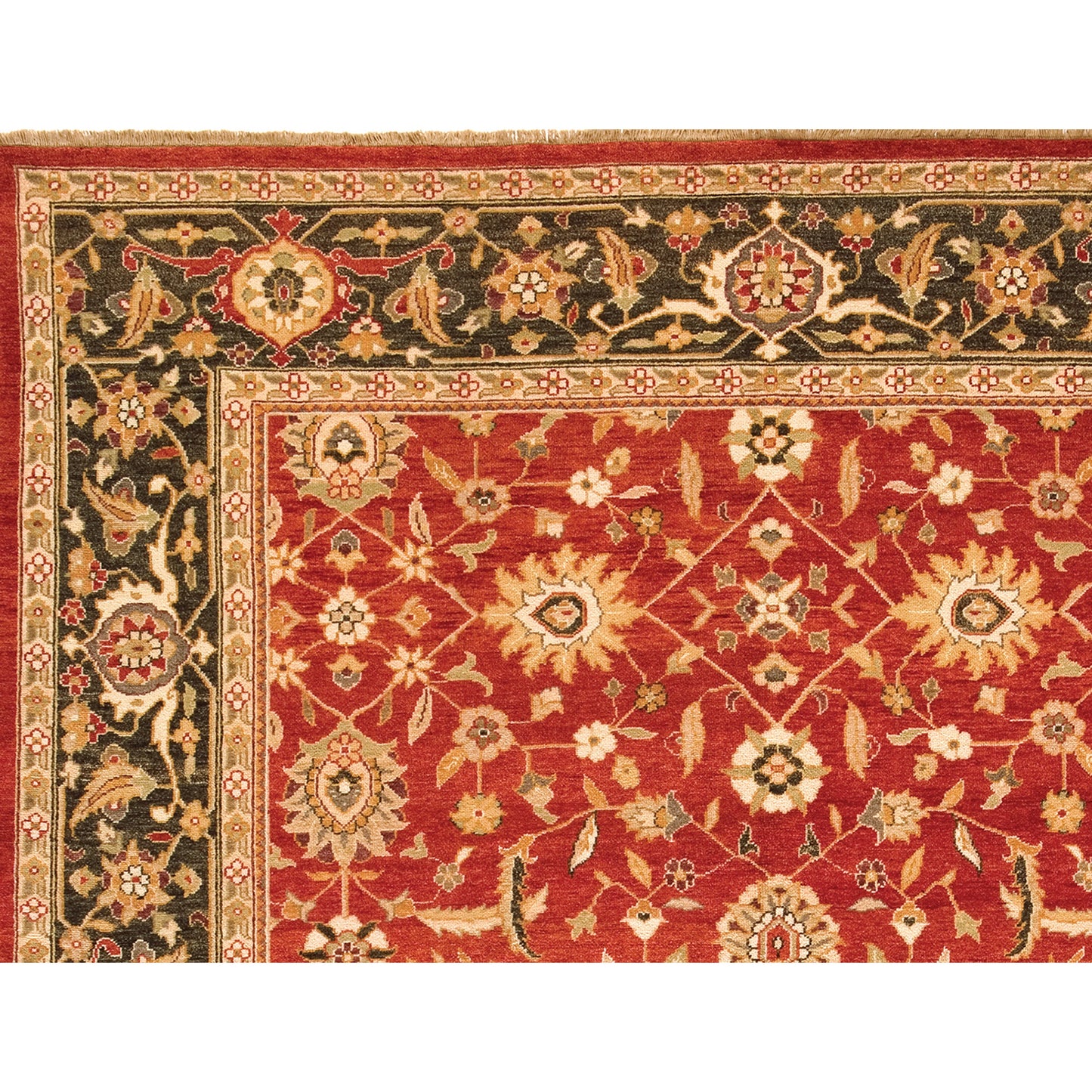 MANCHURIA BIDJJ RED / DARK GREEN