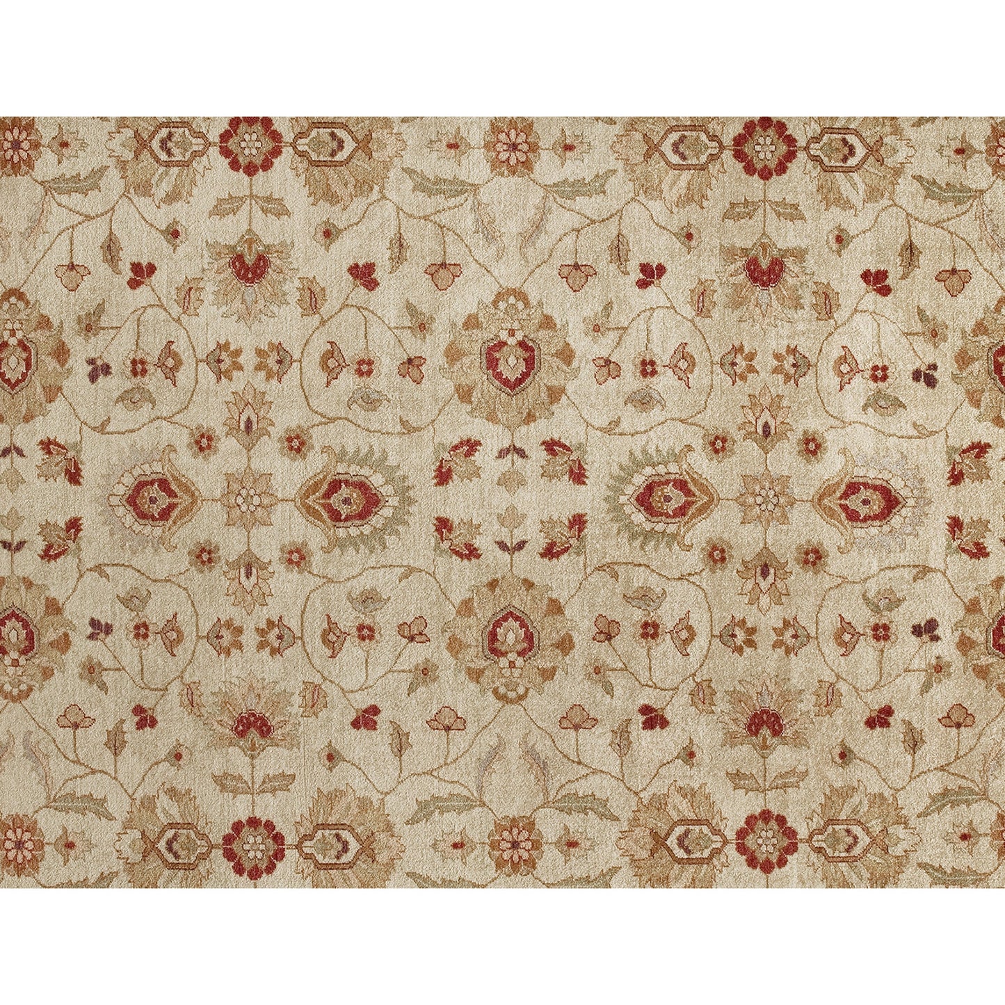 MANCHURIA LILIJ CREAM / RED