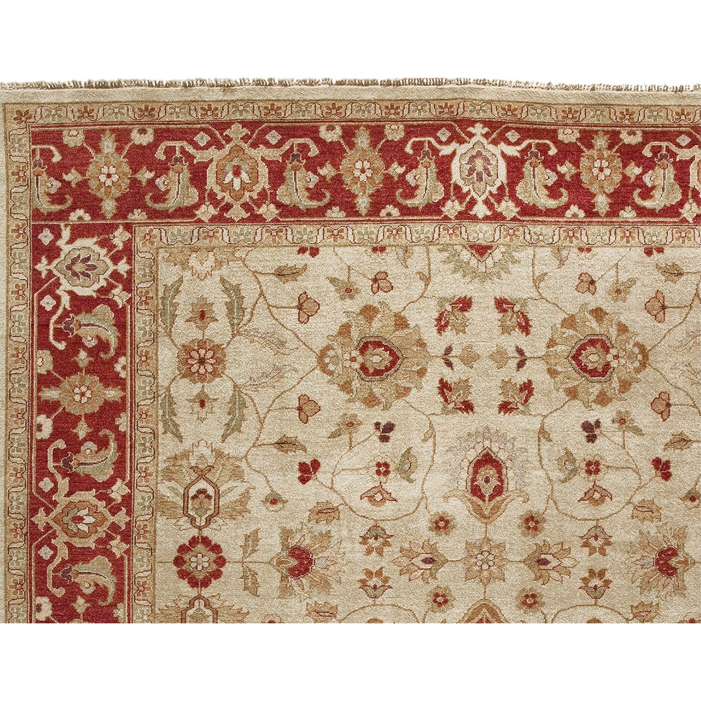 MANCHURIA LILIJ CREAM / RED