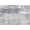 MONARCH P2507 GREY / SILVER
