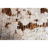 SAFARI KRP01 TIGER 1 BROWN / BEIGE