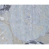 HIMALAYAN ART WINDSOM 18421 BACCHUS BLUE / SILVER