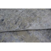 HIMALAYAN ART WINDSOM D1913 SILVER / GREY