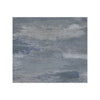 HIMALAYAN ART WINDSOM D1963 SILVER / GREY