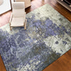 HIMALAYAN ART WINDSOM F1202 SILVER / BLUE
