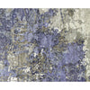HIMALAYAN ART WINDSOM F1202 SILVER / BLUE