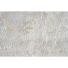 HIMALAYAN ART WINDSOM F1365 IVORY / BEIGE