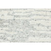 HIMALAYAN ART WINDSOM OC317 SILVER / IVORY