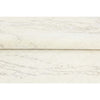 HIMALAYAN ART WINDSOM OC321 IVORY / SILVER