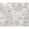 HIMALAYAN ART WINDSOM SP-48 NATURAL / SILVER