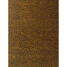 TRENTON II (WOOL) PA-01 GOLD / BLACK