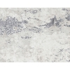 CANVAS ART ALTAIRE SILVER