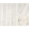 CANVAS ART CASPI IVORY