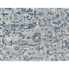 HAND SPUN ACL05 LIGHT BLUE / BLUE