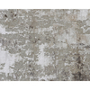 WINDSOM 1217R BEIGE / SILVER