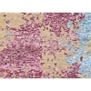 WINDSOM 62BRD BEIGE / LILAC