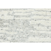 WINDSOM OC317 SILVER / IVORY
