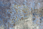 HIMALAYAN ART 5000 B1102 SILVER / BLUE
